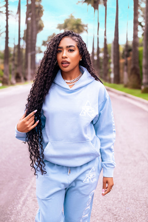 The Artist Collection Baby Blue Hoodie